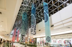Ciclo de Arte Brasília Shopping - Lêda Watson